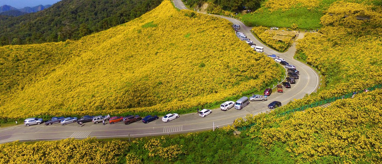 cover The Path to Dreams: 1,864 Curves
Doi Mae U Kho:A Field of Golden Bua Tong Flowers