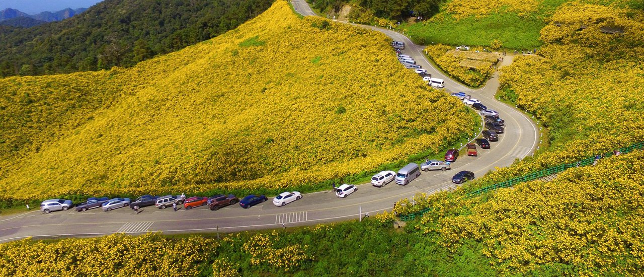 cover The Path to Dreams: 1,864 Curves

Doi Mae U Kho:A Field of Golden Bua Tong Flowers