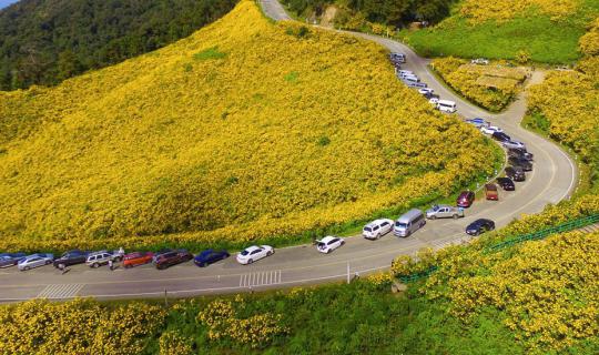 cover The Path to Dreams: 1,864 Curves

Doi Mae U Kho:A Field of Golden Bua Tong Flowers