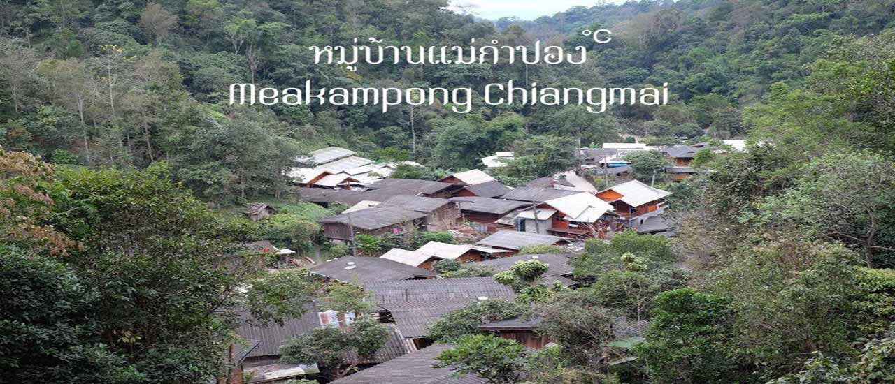 cover ENG: Penguin's Chiang Mai Adventure: Day 3 - Mae Kampong Village, Giw Fin, and Heuan Uai Accommodation