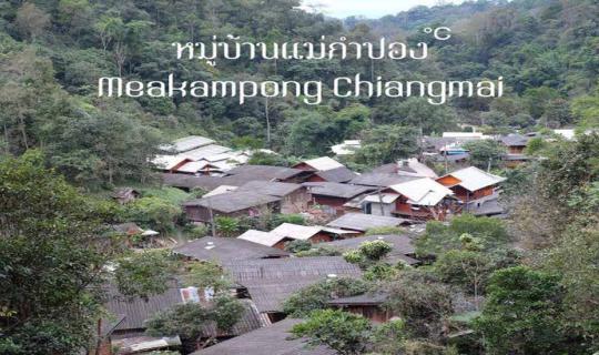 cover ENG: Penguin's Chiang Mai Adventure: Day 3 - Mae Kampong Village, Giw Fin, and Heuan Uai Accommodation