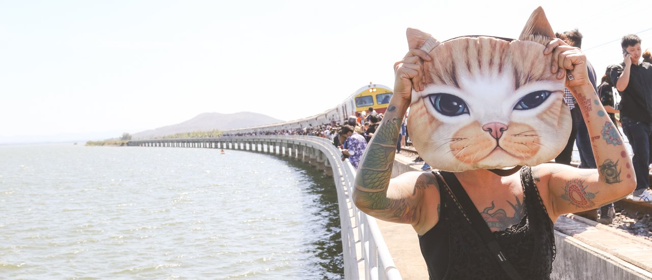 cover A tabby cat named Meow took a ride on a floating train on the Pa Sak Jolasid Dam.