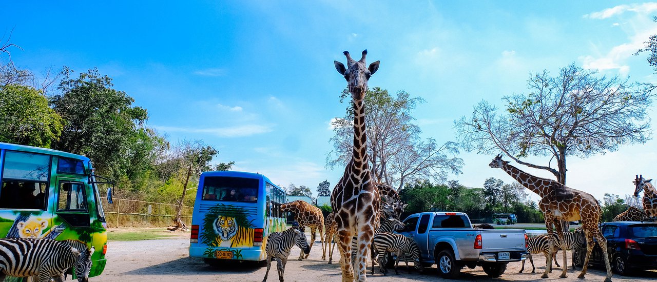 cover Let's 'Kan' together for 1 Day and a night: Safari - Erawan Waterfall - Ploy Resort