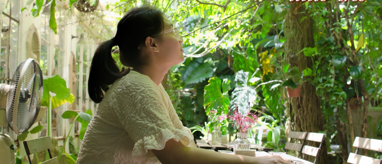 cover Little Tree ร้านน่านั่ง บรรยากาศสวนสวยสไตล์ english cottage
