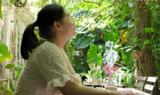 cover Little Tree ร้านน่านั่ง บรรยากาศสวนสวยสไตล์ english cottage