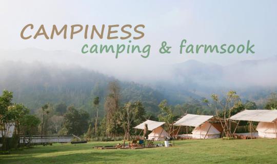 Cover CAMPINESS: Camping & Farmsook, a small, happy farm in Chiang Mai...