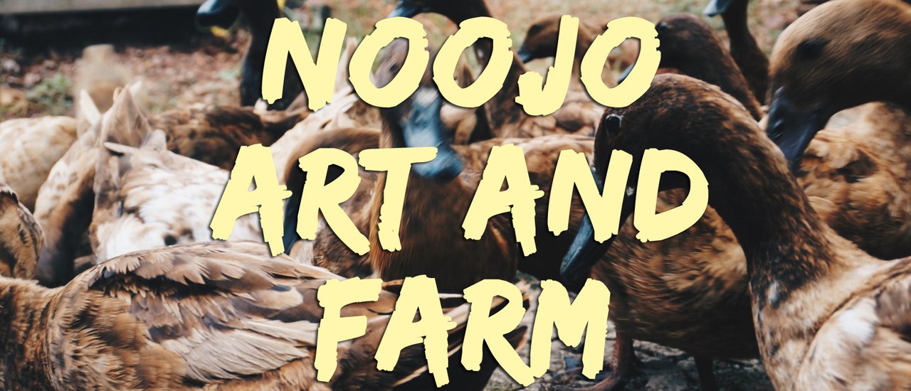 cover "NOOJO ART AND FARM": A Self-Sufficient Lifestyle Within Reach of the "Free Train"
This phrase describes "NOOJO ART AND FARM," a place that embodies a self-sufficient lifestyle accessible even to those relying on the "Free Train" for transportation.