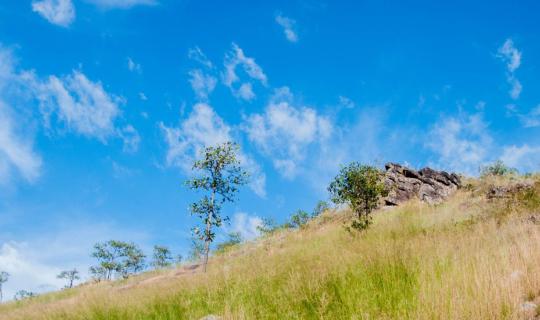 cover Half-Day Trip: Escape the City and Head to Nakhon Nayok