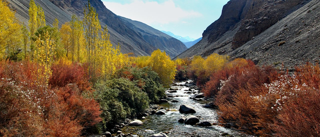 cover Autumn Trip: Mini-Review of LEH LADAKH's Fall Foliage