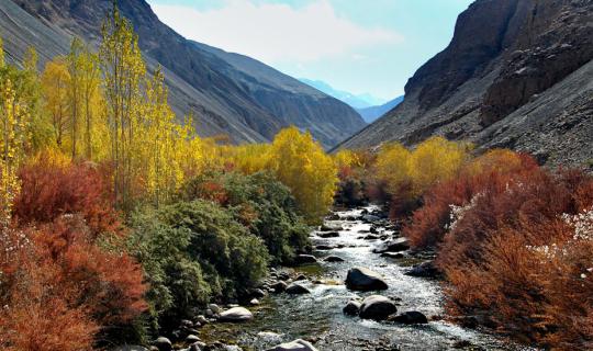 cover Autumn Trip: Mini-Review of LEH LADAKH's Fall Foliage