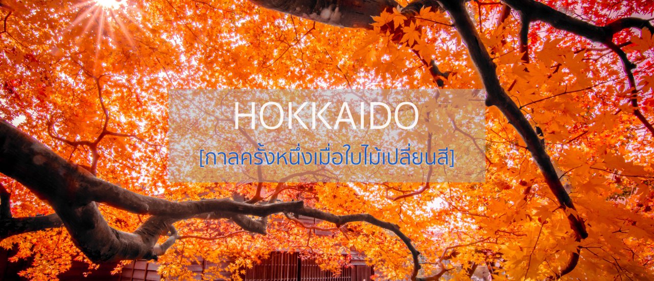 cover Backpack Solo Adventure in Hokkaido: 9 Days of Exploring with Limited Budget (Part 1) - Autumn Foliage Edition