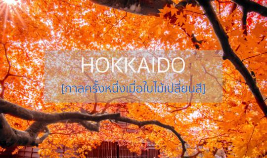 cover Backpack Solo Adventure in Hokkaido: 9 Days of Exploring with Limited Budget (Part 1) - Autumn Foliage Edition