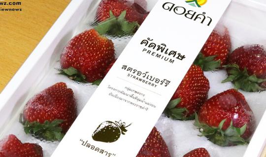 cover "Premium hand-selected fresh strawberries, delicious and free from harmful substances, with the latest seasonal fruits from Doi Kham."