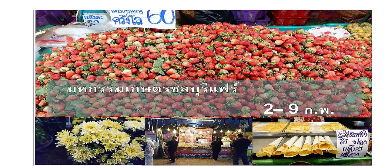 cover Chonburi Agricultural Fair: February 2-9, 2017