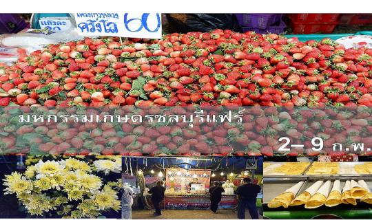 Cover Chonburi Agricultural Fair: February 2-9, 2017...