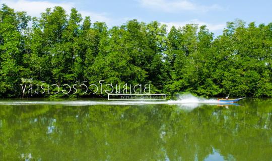 cover Indulge in a seafood buffet, then swing in a hammock amidst the mangroves.