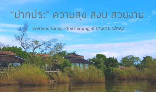 Cover "Embrace the serenity and beauty of "Wetland Camp," where tranquilit...