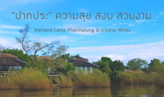 cover "Embrace the serenity and beauty of "Wetland Camp," where tranquility reigns supreme. Indulge in the culinary delights of "Bang Cham," a haven for gastronomic pleasure."