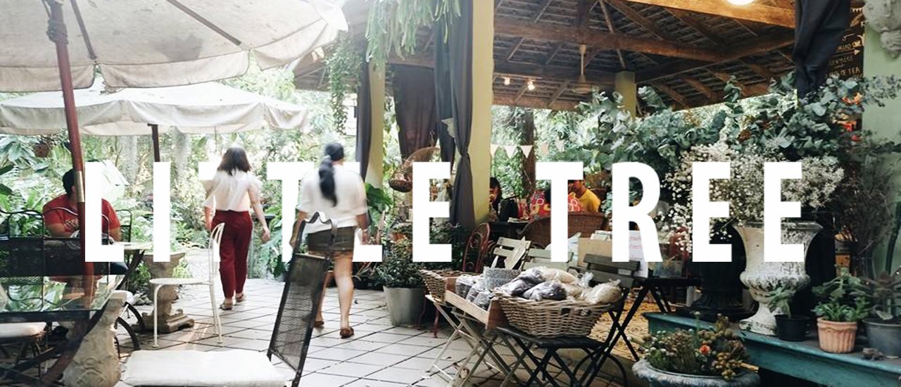 cover Little Delights in a Beautiful Garden: 'Little Tree Garden' - A Must-Visit Charming Cafe