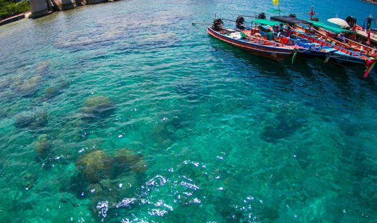 cover Let's go to Koh Tao and Nang Yuan.