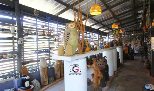 cover Big-Eyed Owl at the Owl Museum -> Nakhon Pathom