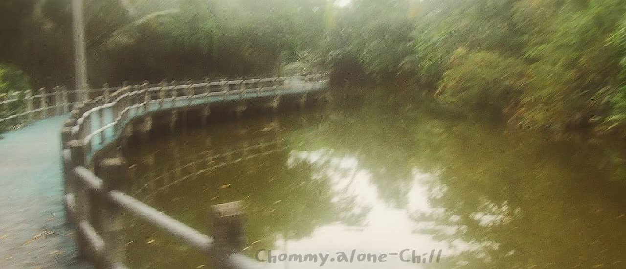 cover ชิวคนเดียว @บางกระเจ้า