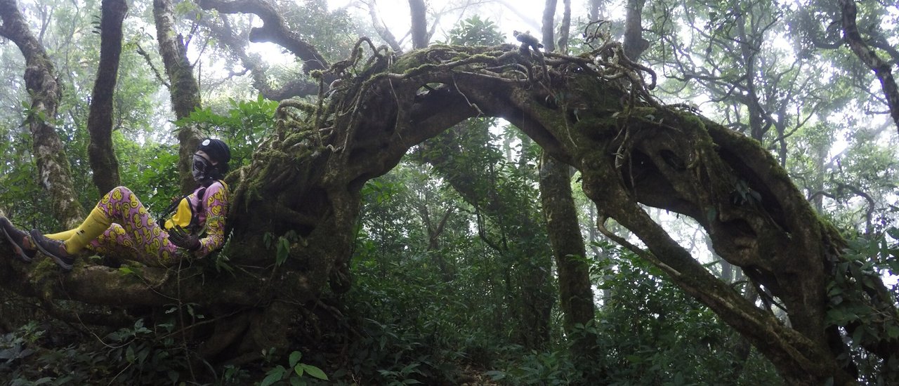 cover Khao Luang, Prachuap Khiri Khan: Ancient Forest, Dwarf Trees, 1250 Peak, Huai Yang Waterfall, Khao Chong Krachok, Khao Lom Muak, 4 Beaches Trip, 3D2N Fishing Trip