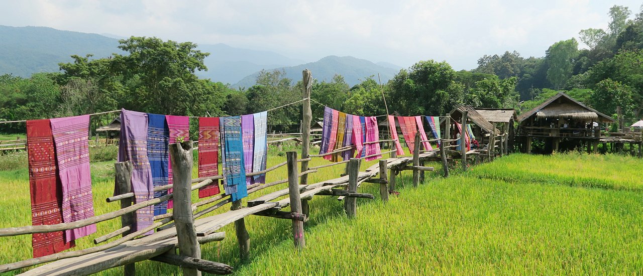 cover Stop for a fragrant coffee break and admire the rice field views at Baan Tai Lue Coffee Shop in Pua District, Nan Province. ☕️🌾