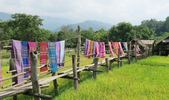 Cover Stop for a fragrant coffee break and admire the rice field views at ...