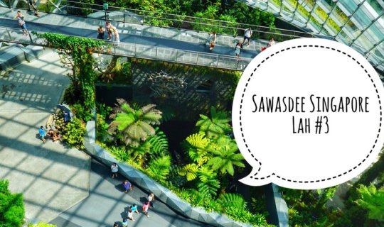 cover Hello Singapore! A newbie will take you on a tour of Singapore. #3