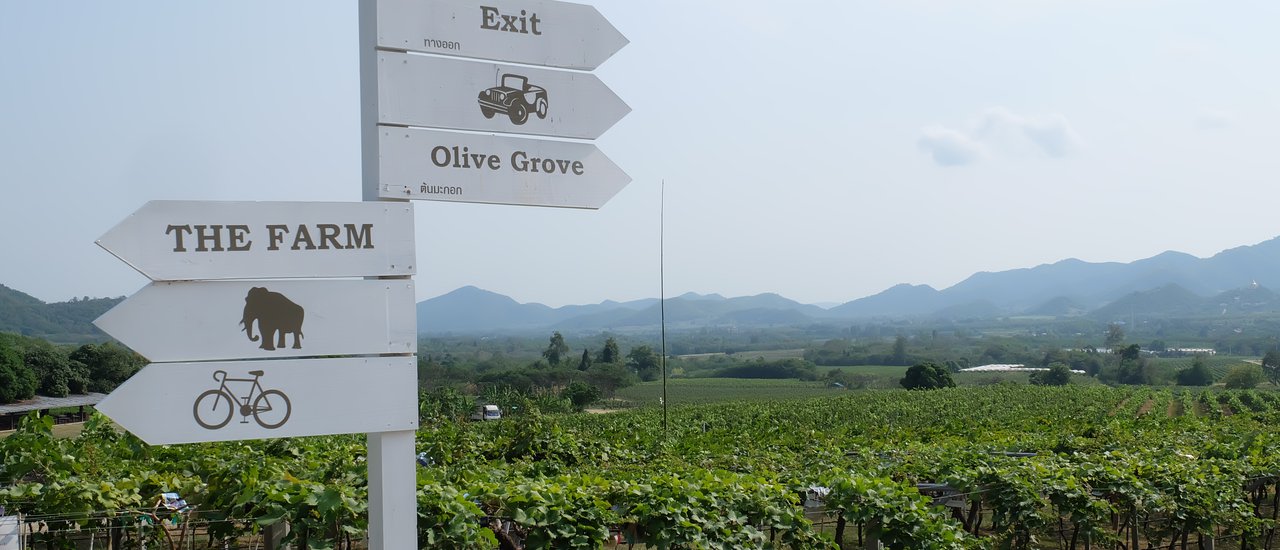 cover Cycling Trip // Huai Mai Tai // Hua Hin Hills Vineyard