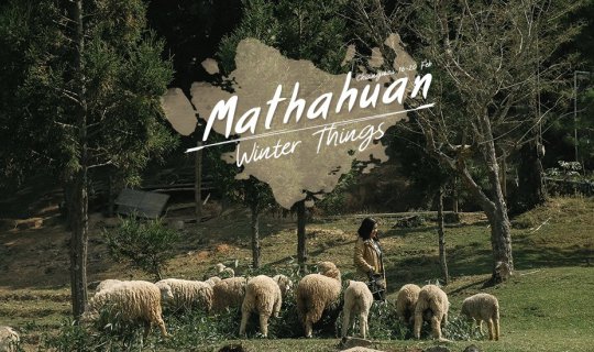 Cover WINTER THINGS : Embrace the Chilling Nights in Chiang Mai...