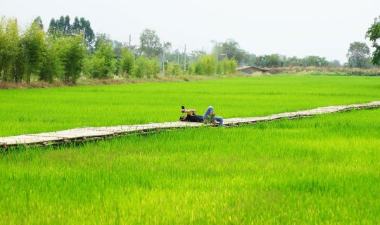 Cover # Karen Village, Kiriwan Village, Si Nava Subdistrict, Nakhon Nayok ...