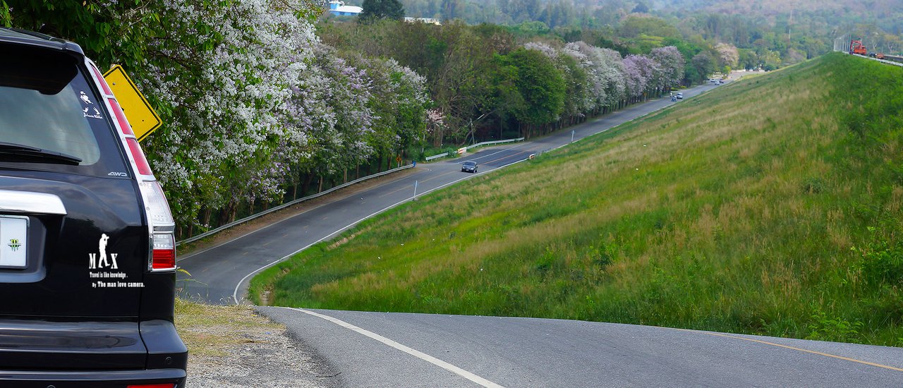 cover "I don't have the money to travel abroad to see flowers. Driving around my local area is enough for me..."