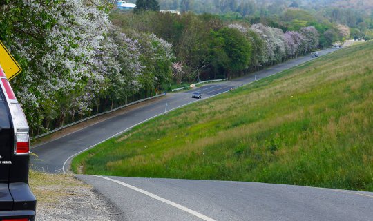 Cover "I don't have the money to travel abroad to see flowers. Driving aro...