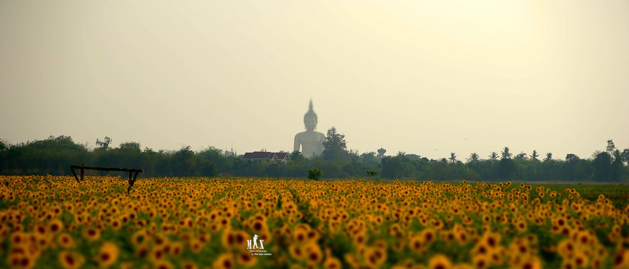 cover 10 Must-See Temples: Beauty Through My Lens
This collection showcases ten stunning temples, each offering a unique perspective on architectural grandeur and spiritual significance.