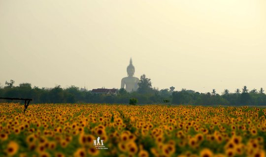 Cover 10 Must-See Temples: Beauty Through My Lens

This collection showcas...