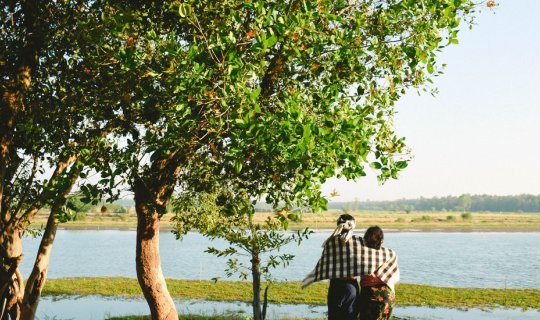 Cover Find peace and tranquility at a rural buffalo farm....