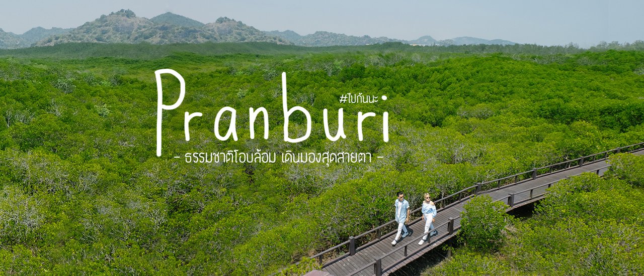 cover Let's go together to Pran Buri Forest Park to enjoy the panoramic view of the lush greenery.