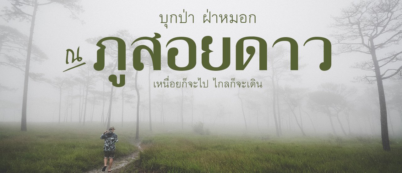 cover คนหลงทาง #4 : บุกป่า ฝ่าหมอก ณ ภูสอยดาว...เหนื่อยก็จะไป ไกลก็จะเดิน