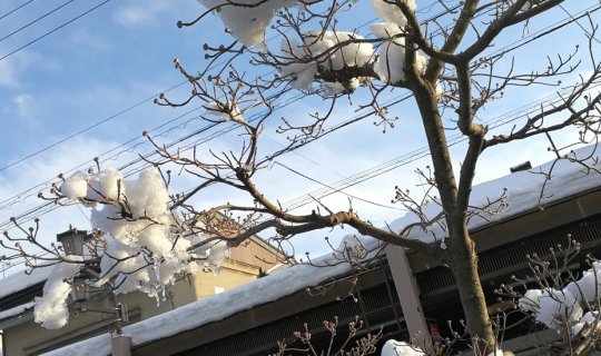 cover And we met again @ Takayama.