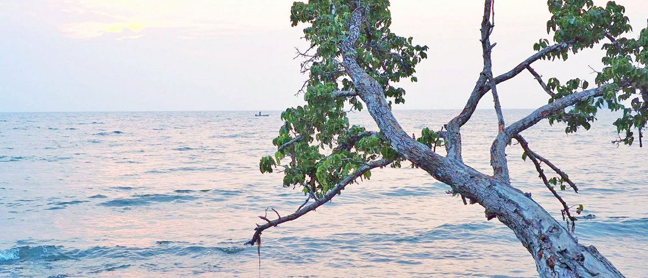 cover Lonely Beach: A Haven for the Weary Soul

When the body grows weary, Lonely Beach offers solace and rejuvenation.