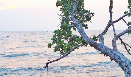 Cover Lonely Beach: A Haven for the Weary Soul

When the body grows weary,...