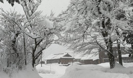 Cover Tiny specks called snow @ Shirakawa-go...