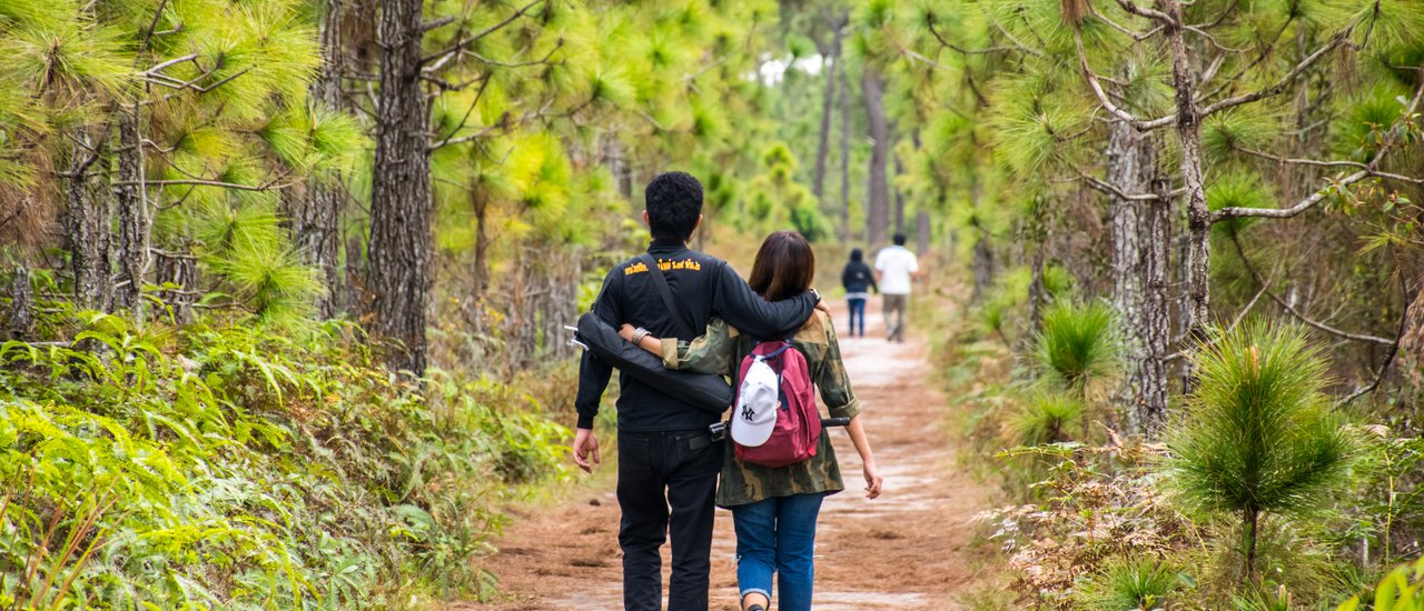 cover A 50-kilometer trek on Phu Kradueng, slowly walking, pulling each other along.