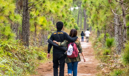 Cover A 50-kilometer trek on Phu Kradueng, slowly walking, pulling each ot...