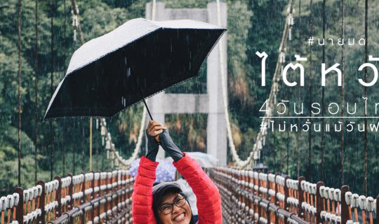cover Mr. Ant - "Taiwan" Trip - 4 Days Around Taipei #Undeterred by Rainy Days