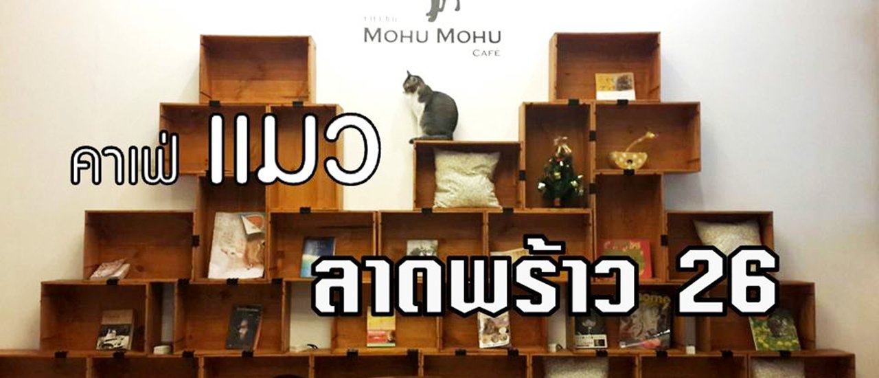 cover Mohu Mohu Cat Cafe