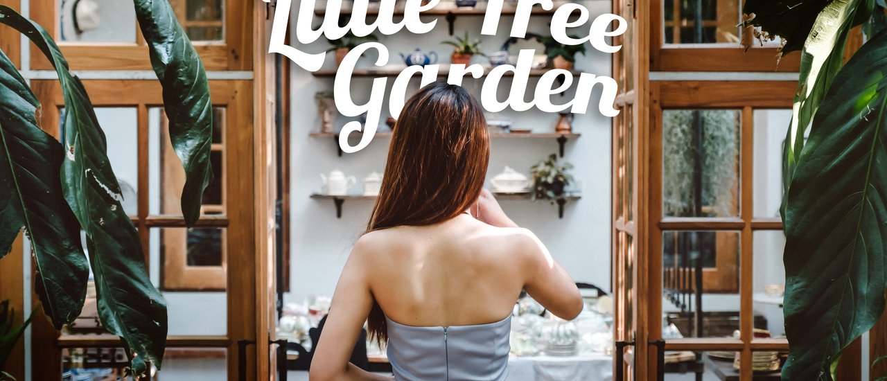 cover "Lazy Coup" Little Tree Garden: A vintage café with a British garden aesthetic.