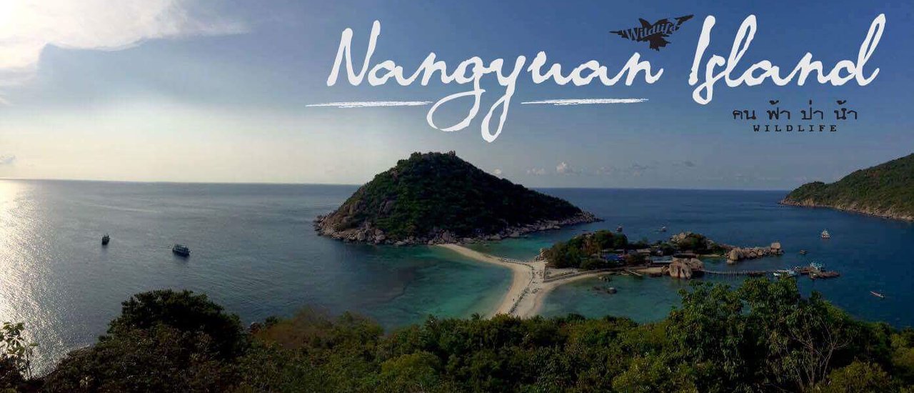 cover Koh Nang Yuan... Love with all my heart.